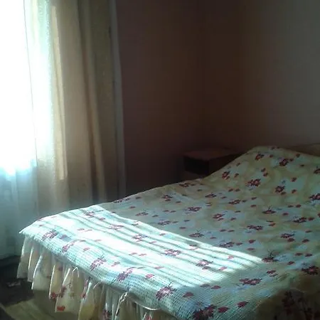 Pensiunea Popan Гостевой дом *