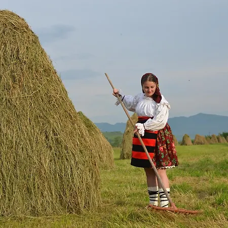 Гостевой дом Pensiunea Popan Sieu (Maramures)