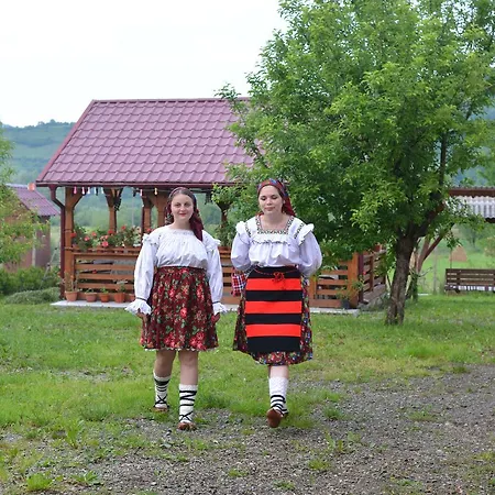 Pensiunea Popan Гостевой дом