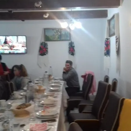 Pensiunea Popan Гостевой дом